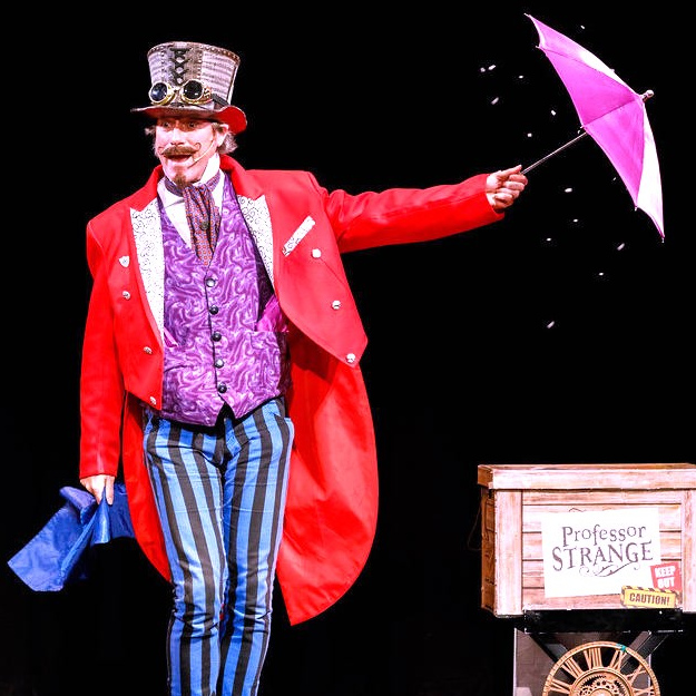 Professor strange magic show